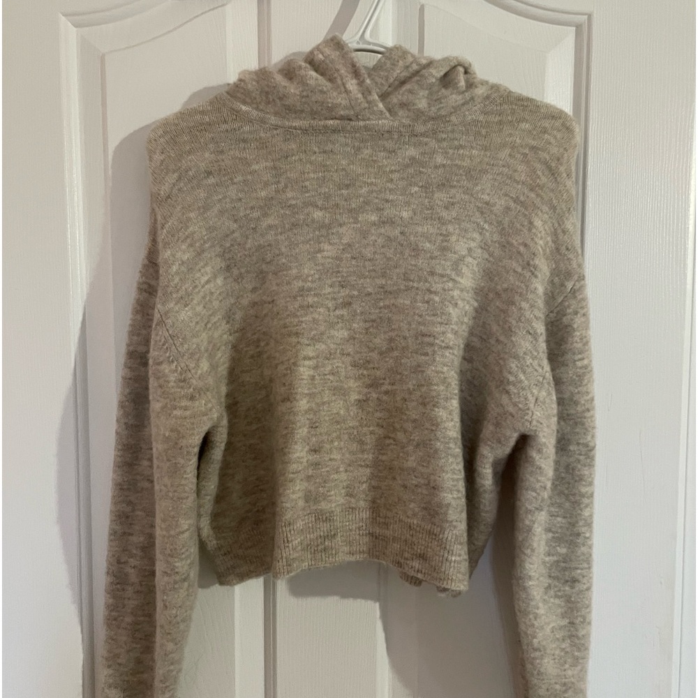 Aritzia Little moon Alpaca & Wool hooded sweater